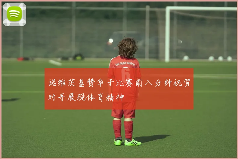 诺维茨基赞华子比赛前八分钟祝贺对手展现体育精神