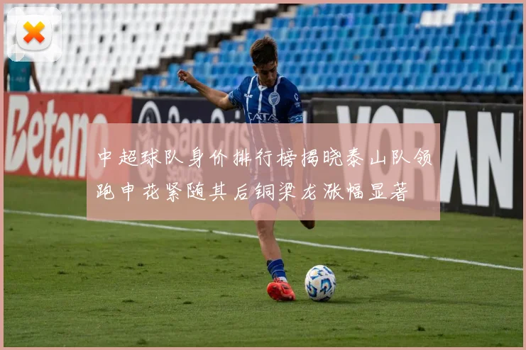 中超球队身价排行榜揭晓泰山队领跑申花紧随其后铜梁龙涨幅显著